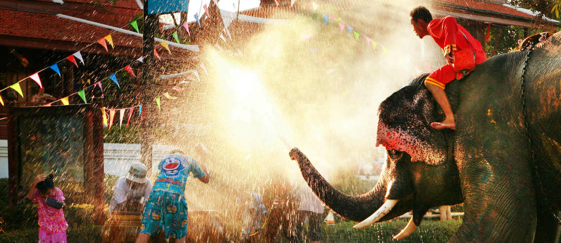 an elephant sprays water amongst Songkran revellers as part of Thai New Year celebrations