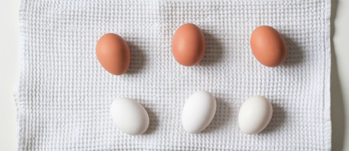 2 types of eggs to denote how group and individual health insurance plans differ