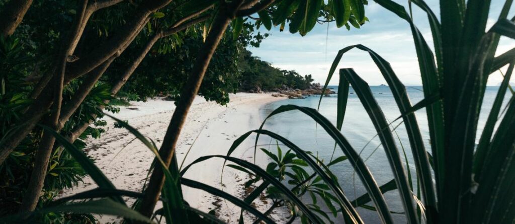 Beach, Koh Pha-Ngan