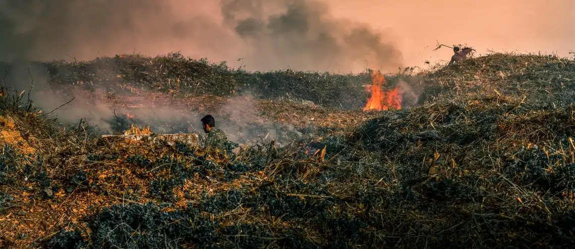 A person burning mountains of leaf