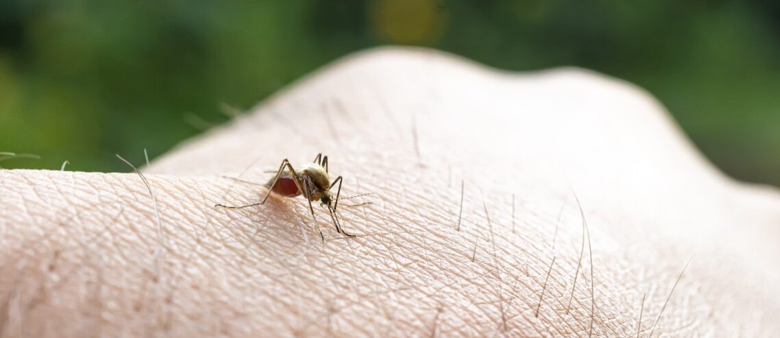 Japanese Encephalitis