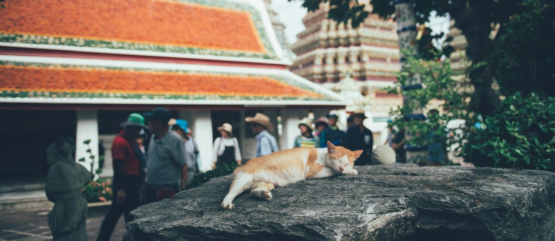 Allianz Ayudhya Expat Insurance